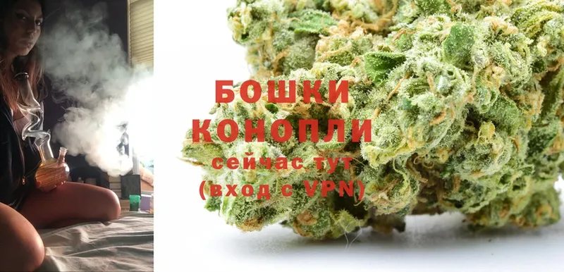 Конопля Bruce Banner  Лукоянов 